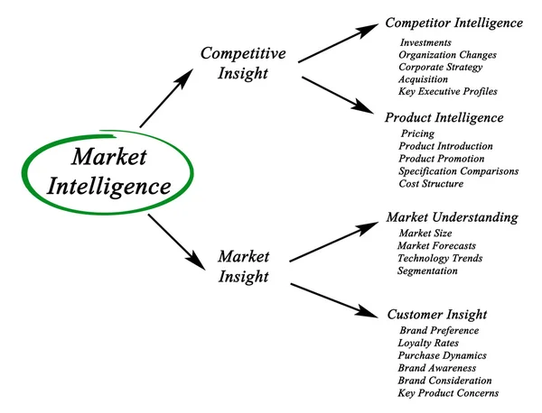 Market Intelligence — Stock Photo, Image